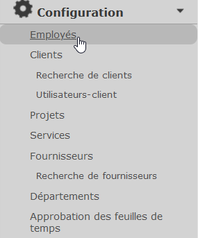 Left menu for the configuration of an employee who can approve expenses