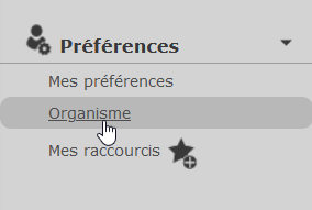 Preference menu and selection of the organization option
