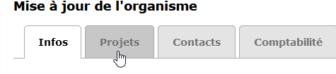 Selecting the Project tab in the organization update to set up a vacation project