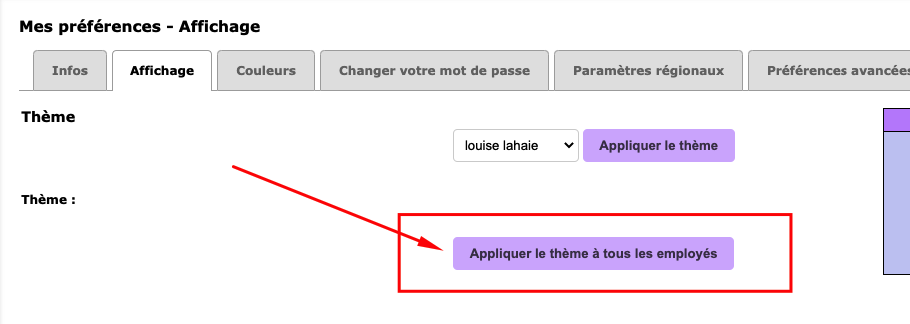 How to apply an interface theme to all users
