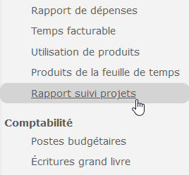 Onglet Rapport suivi projets dans le menu de gauche