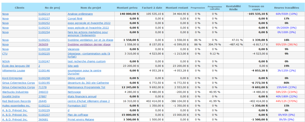 Fictitious example of a table generated by the work in progress report.
