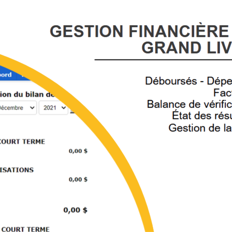 Gestion financière et Grand livre