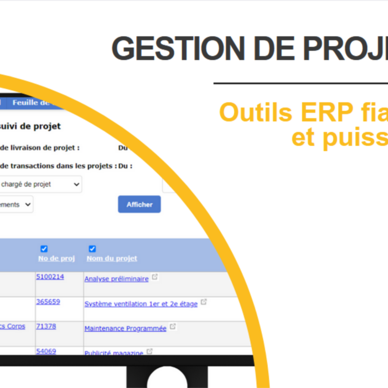 Gestion de projets, outils ERP fiables et puissants, rapports multiples de suivis de projets