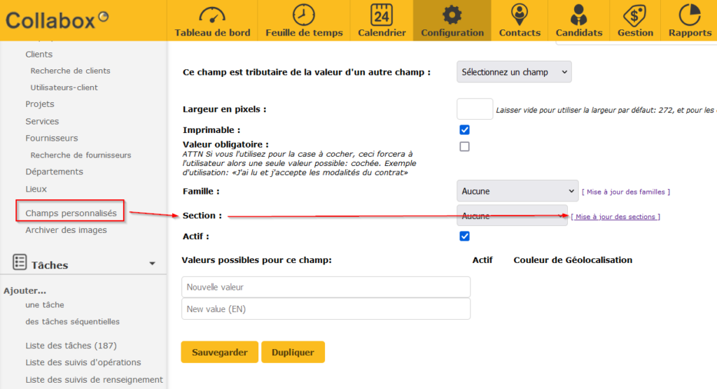 Image montrant le premier endroit où vous trouvez la sélection des accès spécifiques de vos employés. Ici, sous l'onglet configuration, Champs personnalisés.