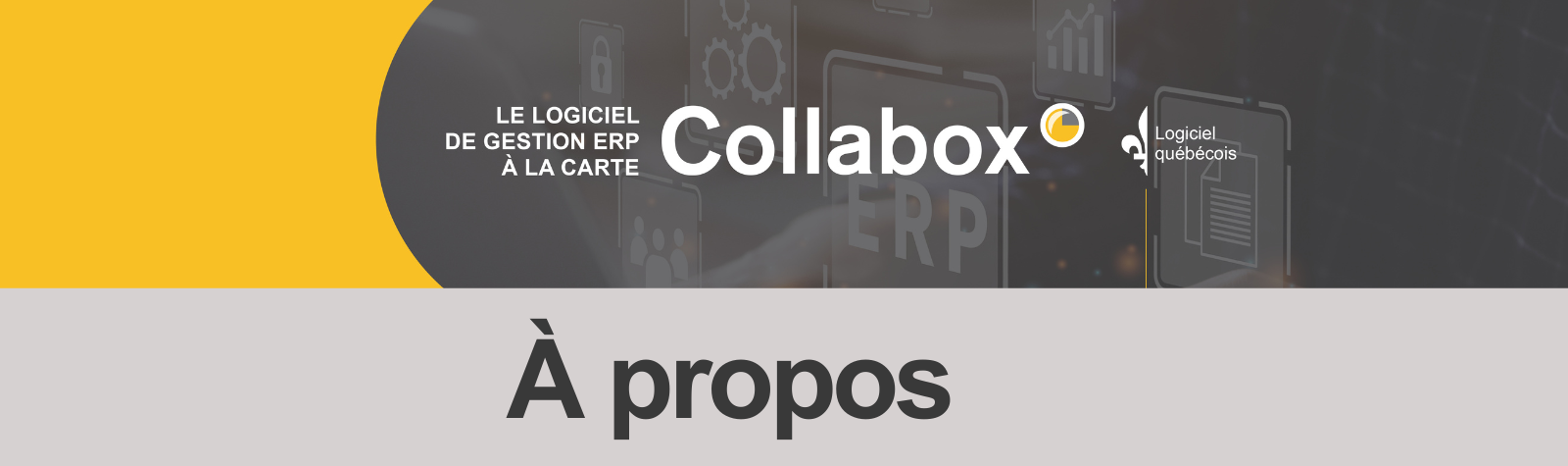 À propos du logiciel ERP Collabox
